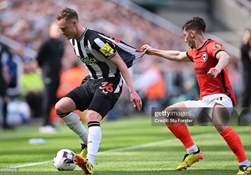 video Highlight : Newcastle 1 - 1 Brighton (Ngoại hạng Anh)